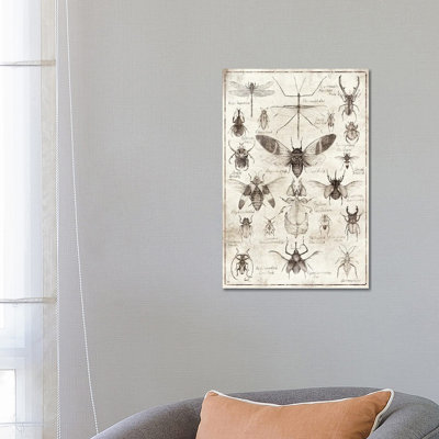 Insects B/W by Mike Koubou - Wrapped Canvas Print