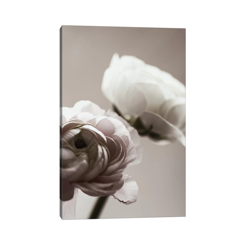 Blossom Dark by Monika Strigel - Wrapped Canvas Print, 20.32 cm H x 30.48 cm W