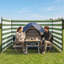 Tent-126042882