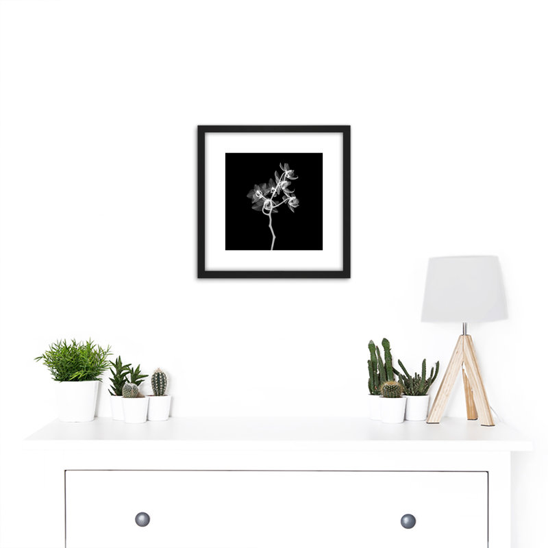 Schwartz NJIT Transparent Orchid Greyscale X-Ray - Single Picture Frame Painting