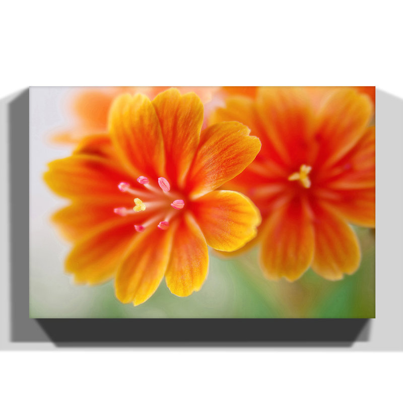 Wrapped Canvas Print, 35cm H x 50cm W