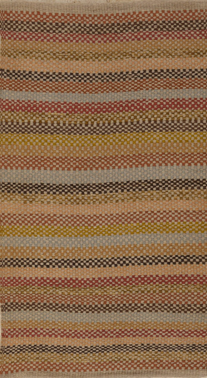 Striped Area Rug in Brown