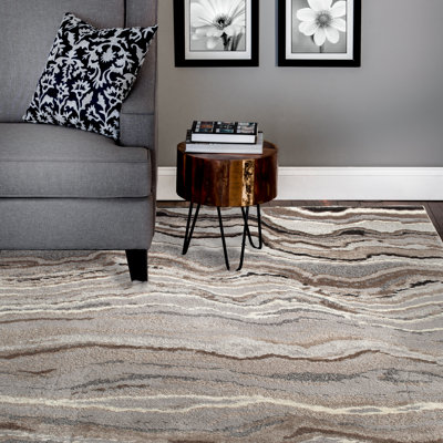 Orren Ellis Textures Phlyntom Gray Area Rug