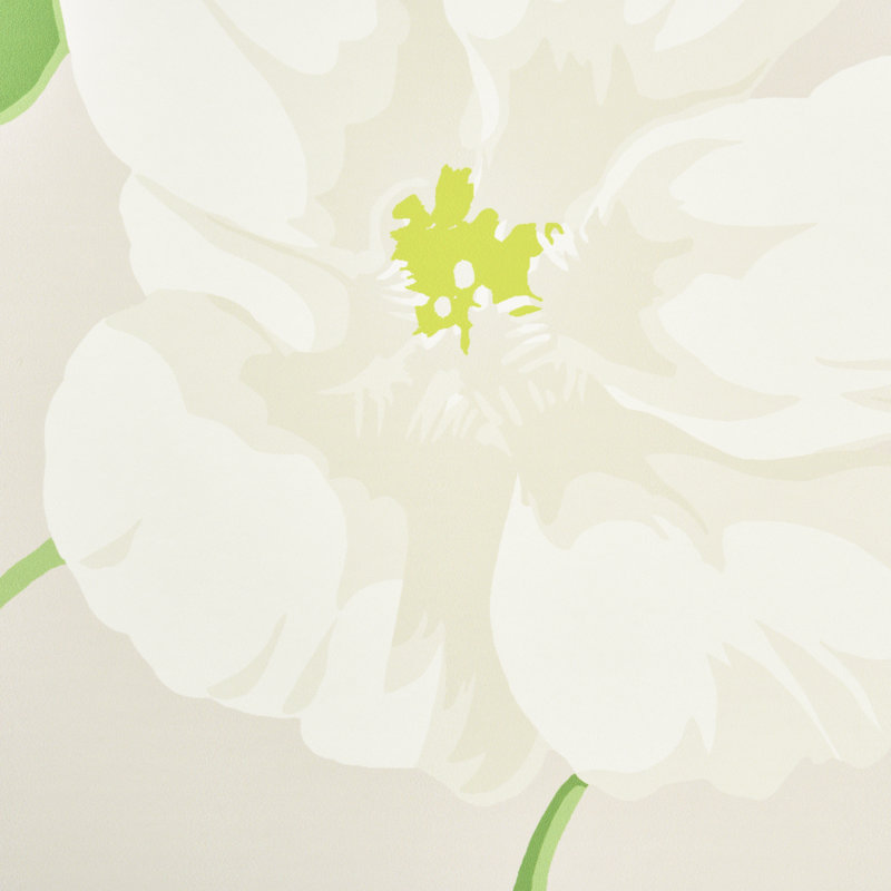 Nasturtium Wallpaper, Stone