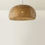 Cogdell 1-Light Dome Globe Lamp Shade