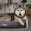 Polyester Pet Bed-61118529