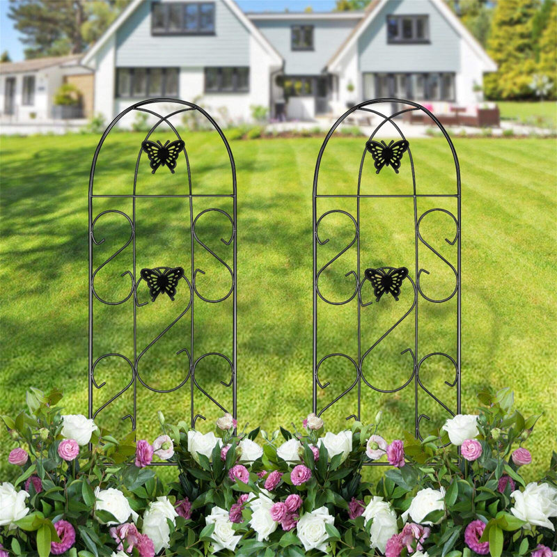 Sanya 152.4cm H x 45.7cm W Metal Arched Trellis