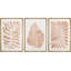 «Orange Tropical Palm Leaves», botanique abstraite, encadrée, 3 pièces, impression sur toile-91875273-91875271