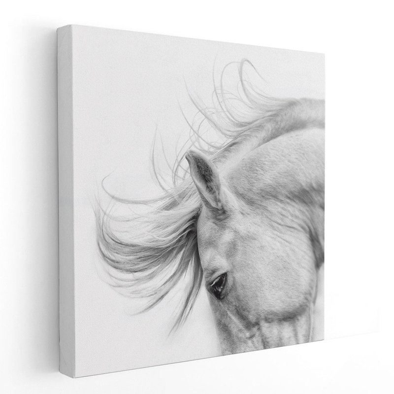 Flair - Canvas Print Wall Art, 24" H x 24" W