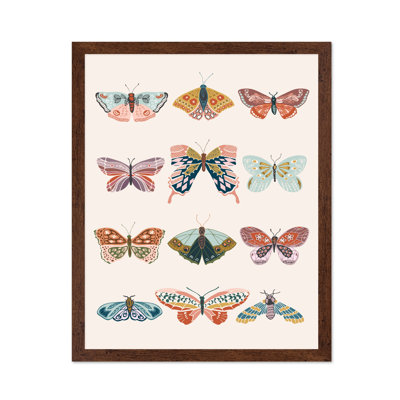 Papillons No1