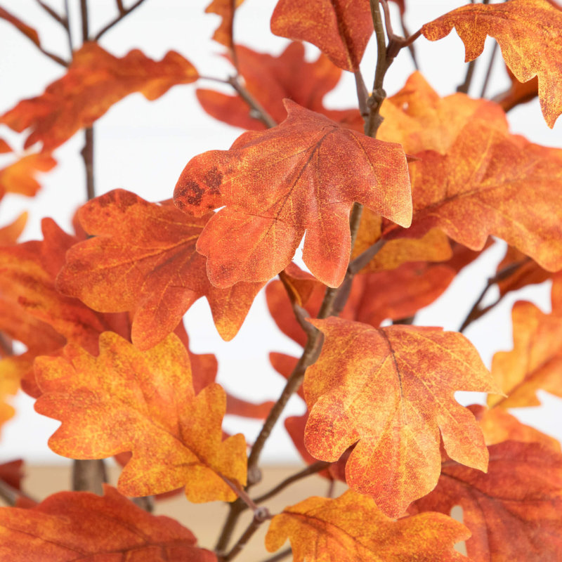 3 pi. Arbre d'automne