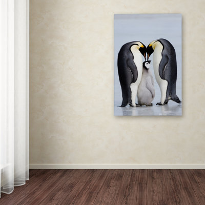 Ann 'Two Penguins' Photographic Print on Wrapped Canvas