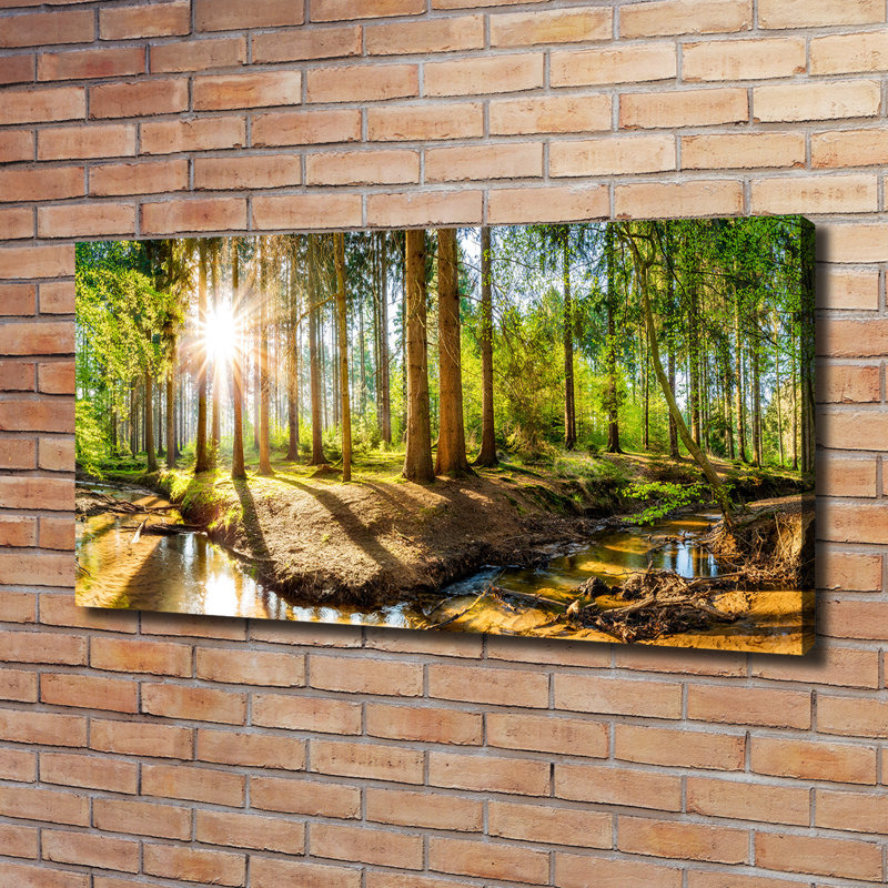 Panorama Of The Forest - Wrapped Canvas Print