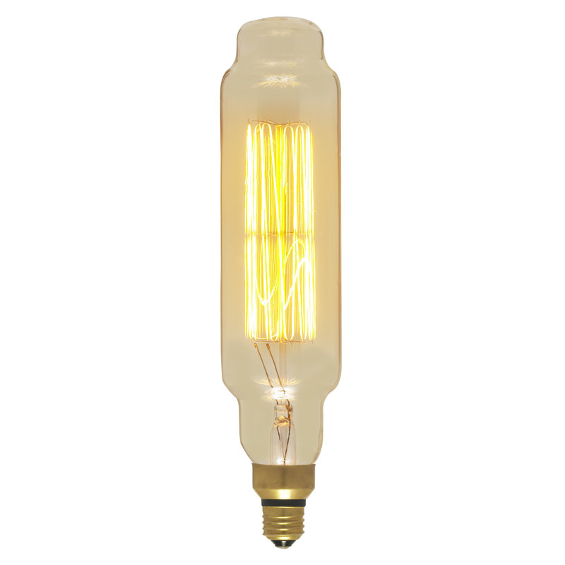 60 W, ampoule incandescente à intensité variable T24, culot E26 / moyen (standard)
