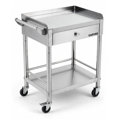 2-Tier Stainless Steel Utility Cart with Wheels & Drawer, 250 lb Capacity – Heavy-Duty Rolling Storage for Kitchen, Lab, Medical, Dental & Office Use (Two Layers)