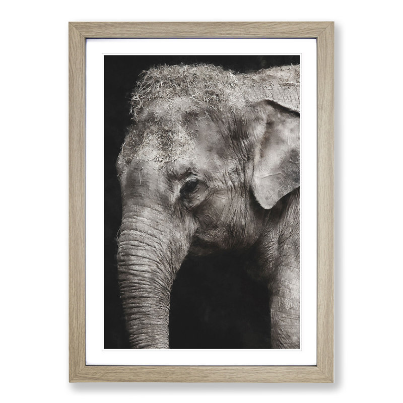 Elephant Vol.3 - Picture Frame Graphic Art, Oak Framed, 48cm H x 36cm W x 2cm D