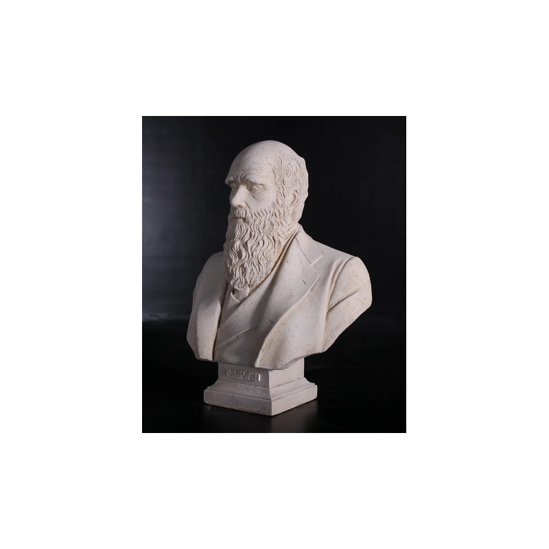 Statue buste Darwin