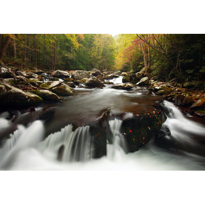 Great Smoky Mountains National Park by Veni - Wrapped Canvas Print