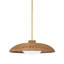 Delano 1 - Light Pendant