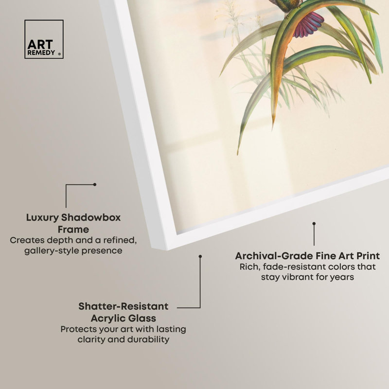 «Flash of Magenta Shadowbox», reproduction d'art botanique par Art Remedy, H 55 po x l 37 po, Blanc
