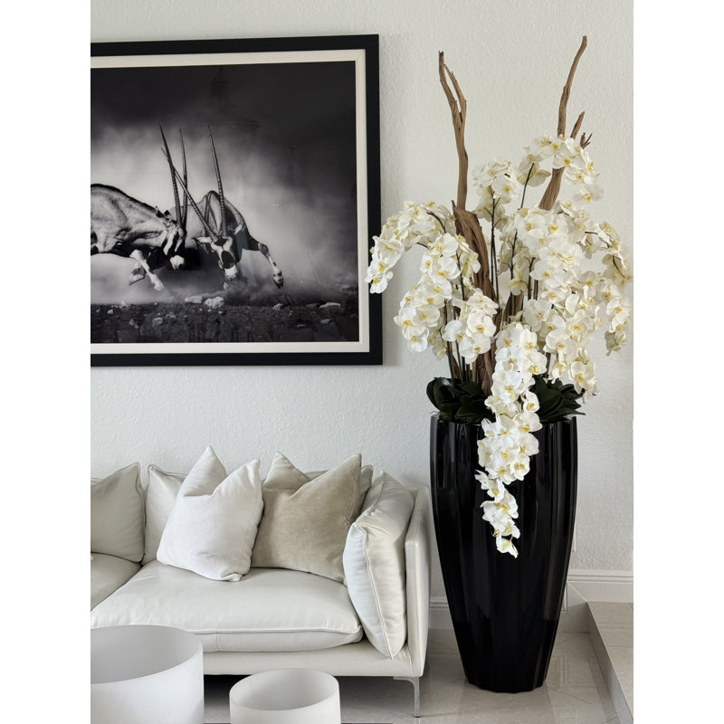San Jose Planter In Glossy With Cascading Orchids, White, Black
