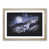 Oak