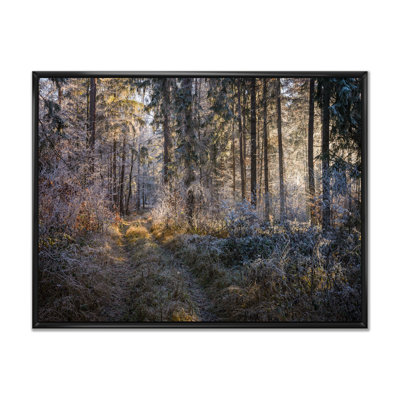 «Forest Trees In Winter», reproduction d'art sur toile
