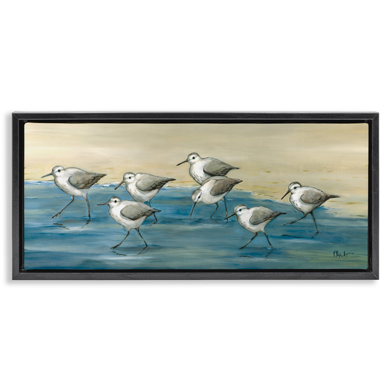 «Sandpiper Bird Flock Beach Shoreline» par Paul Brent, Cadre flottant noir de jais, H 14 po x l 31 po
