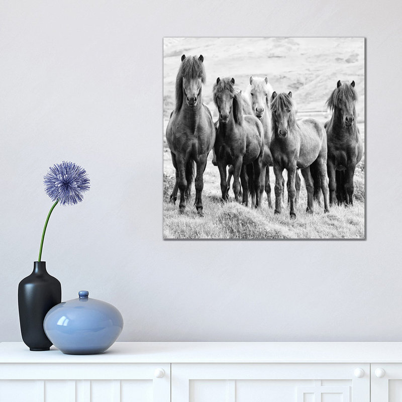 B And W Horses VIII by PHBurchett - Wrapped Canvas Print, 45.72 cm H x 45.72 cm W x 1.91 cm D