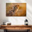 Adorables lionceaux Brampt-108815752