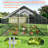 Diethilde Chicken Run