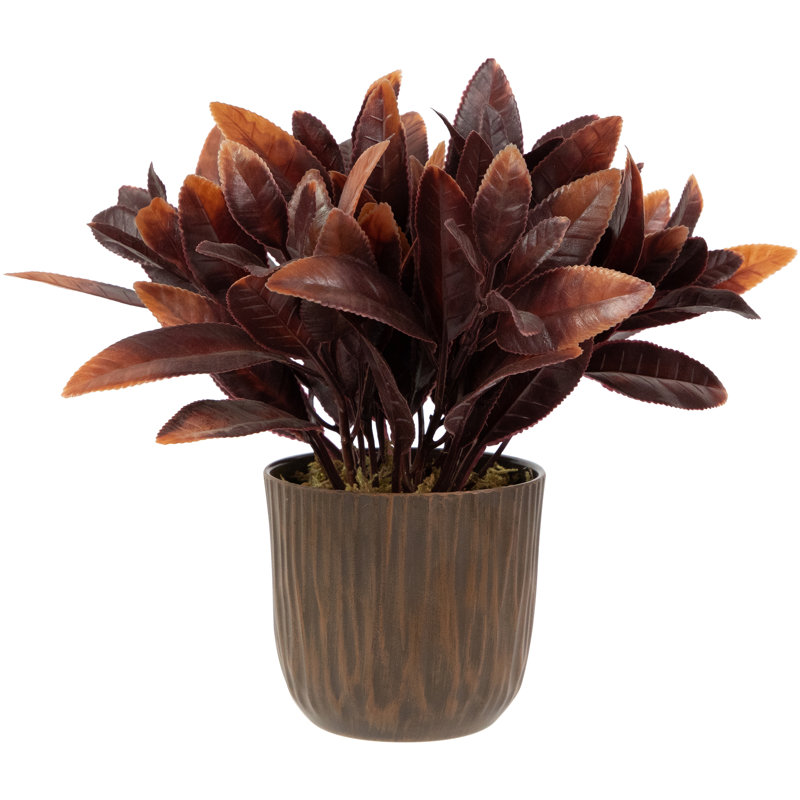 9 plantes