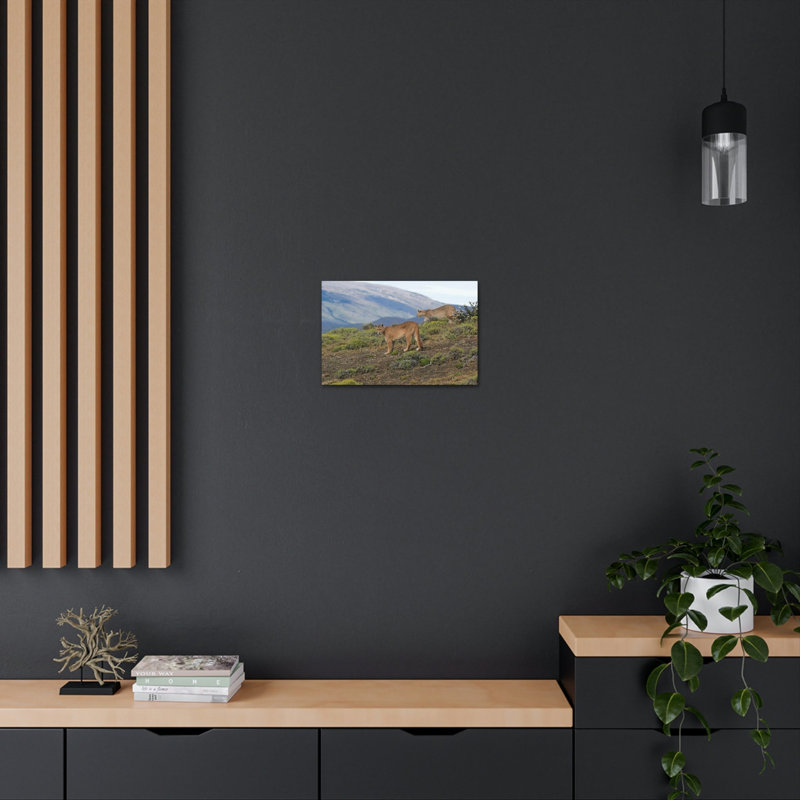 No Frame Print on Canvas, 27.94cm H x 35.56cm W