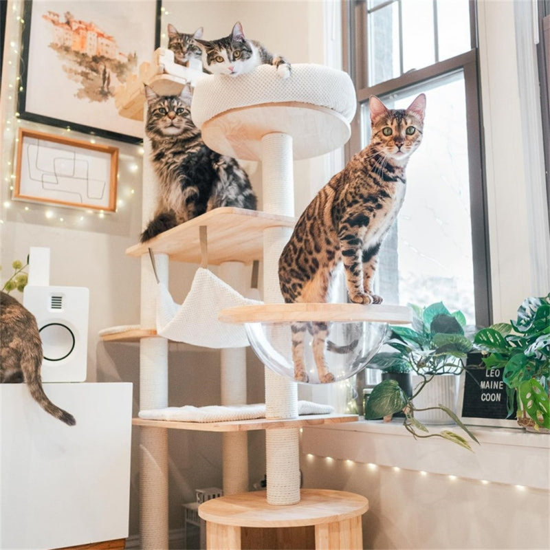 Arbre à chat Luxury Crown