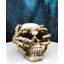 Figurine Ossuary Macabre Evil Skull