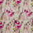 Peony selected