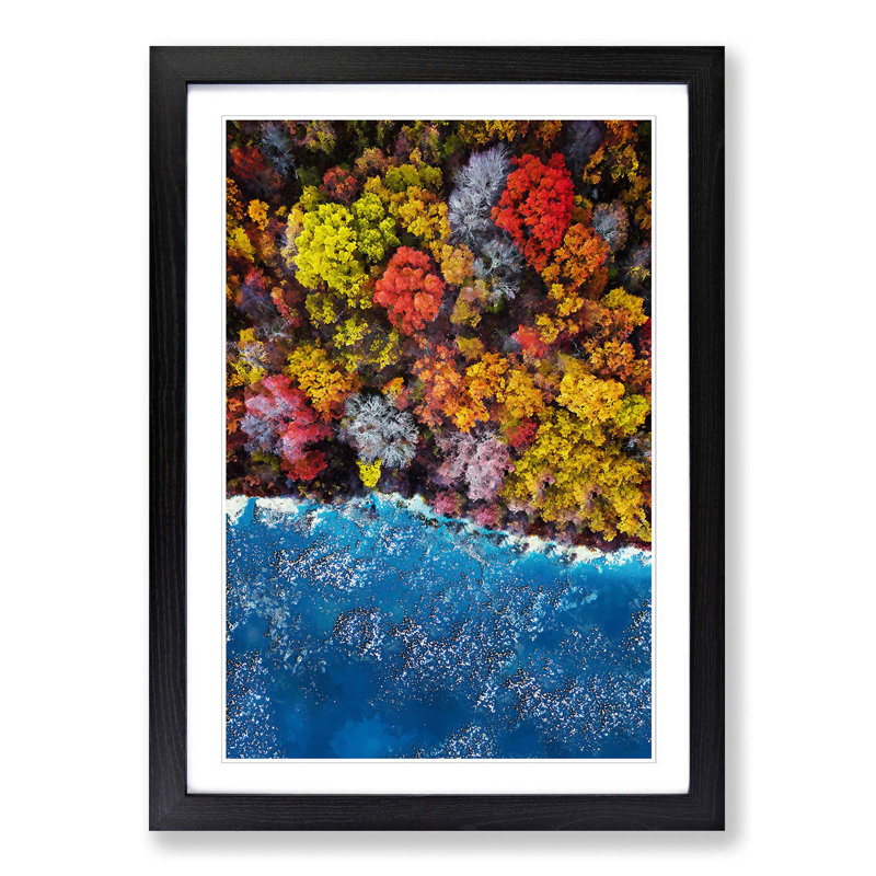 Forest View - Picture Frame Graphic Art Print, 87cm H x 62cm W x 2cm D, Black Framed