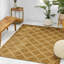 Tapis, TAPIS