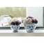 Adair Toile Sedum Bowl-1667597491
