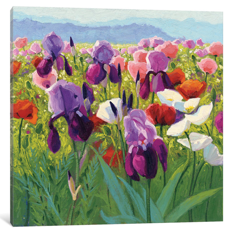 " Early June " by Shirley Novak, 26" H x 26" W x 1.5" D, No Mat, Wrapped Canvas