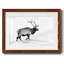 Lone Bull encadré sur papier-770959336-770959339