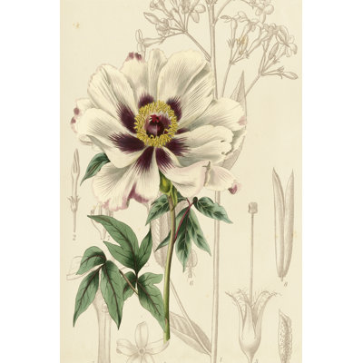 Floral Pairings II 1 Piece Wrapped Canvas Painting