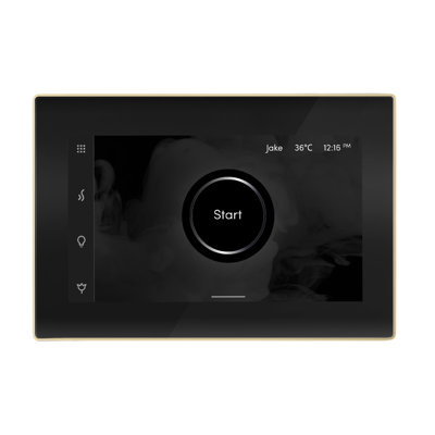 iSteamX Steam Shower Control and Steamhead