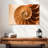 Aletra Nautilus Shell Inside-107680920