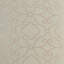 Wow Factor Fabric-53164372