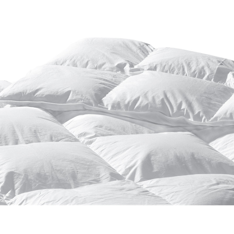 Limoges Duck All Season Down Comforter, California King