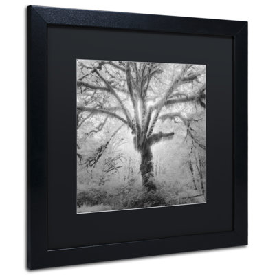 " Lightning Tree II " by Moises Levy