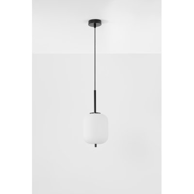 1 - Light Black Bulb Pendant