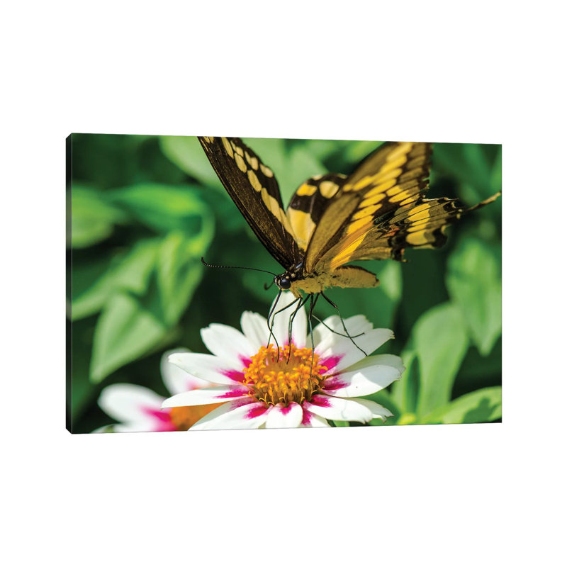 At Lunch by David Gardiner - Gallery-Wrapped Canvas Giclée on Canvas, 66.04 cm H x 45.72 cm W x 3.175 cm D, Wrapped Canvas