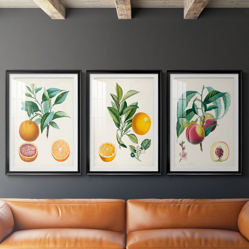 Orange de Malte - reproduction sur mesure encadrée de qualité supérieure - 3 pièces, Noir, H 21 po x l 30 po